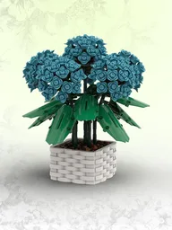 Hydrangea (BT009)