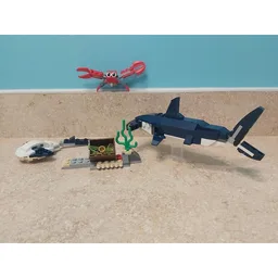 Hammerhead Shark