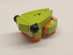 Morelet's Tree Frog