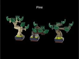 Micro Bonsai Trees