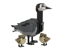 Barnacle goose and goslings