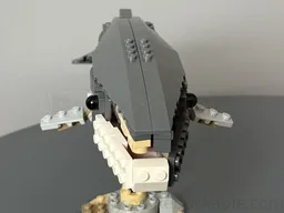 31381 Fin whale
