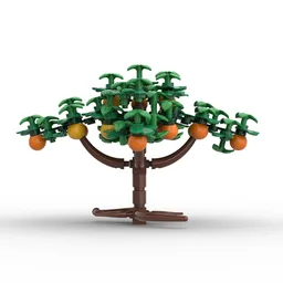 Citrus Trees