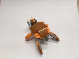 30754 C model : Turtle