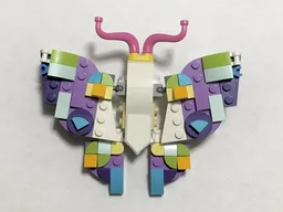 Colorful Butterfly