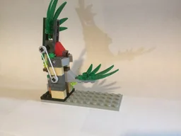 venus flytrap