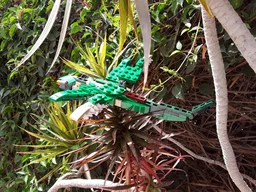31058 - Dragonfly