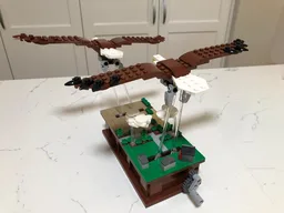 Soaring Eagle