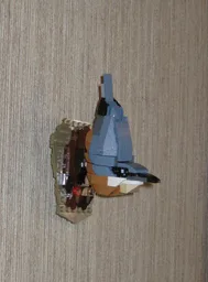 Nuthatch