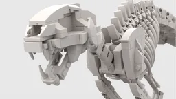 Cat Skeleton