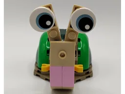 31377 Snail