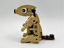 30666 Prairie Dog