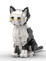 Cat BW