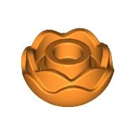 Plant, Flower, Peony Rose with 2 Layers / Orange