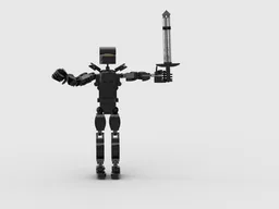 Ninja