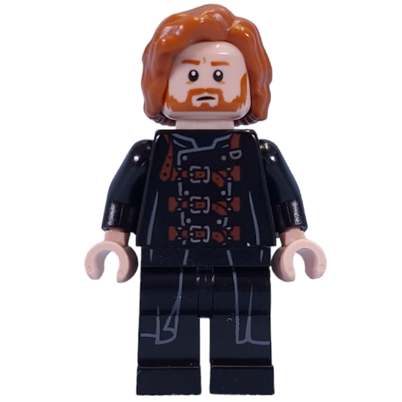 Lego Ron Weasley, Polyjuice Dragomir Despard Disguise