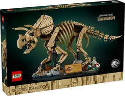 Dinosaur Fossils: Triceratops