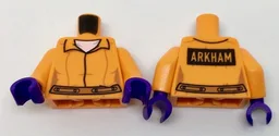 Torso Female Prisoner Jumpsuit over White Shirt, Dark Orange Belt, Black Rectangle with 'ARKHAM' on Back Pattern / Orange Arms / Dark Purple Hands