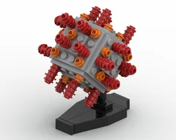 COVID 19 virus