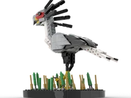 Secretary Bird