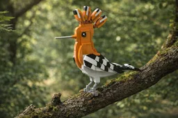 Hoopoe (Upupa epops)