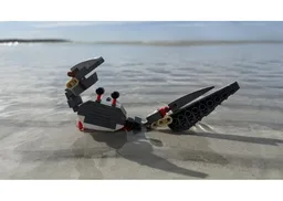 Crab 31381