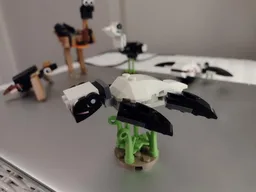 Skylar Sea Turtle