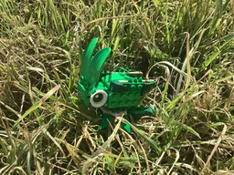 Grasshopper