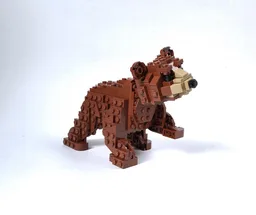 Bear Cub
