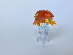 Jellyfish