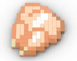 Raw Chicken