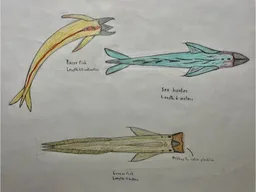 Trifish Head Model