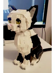 Cat BW