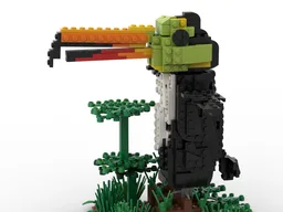 Toucan