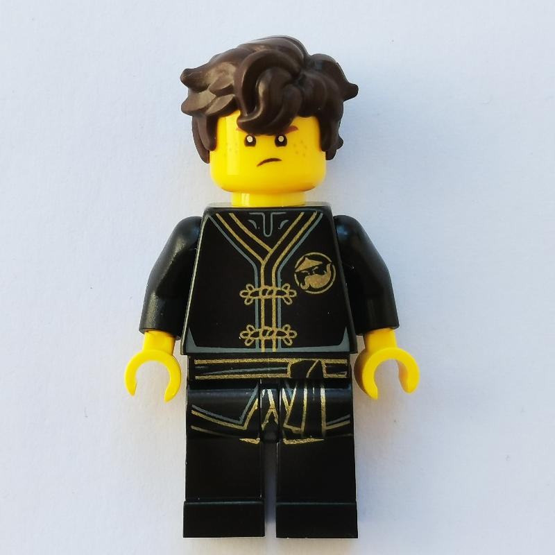Lego Jay in Black Training Gi