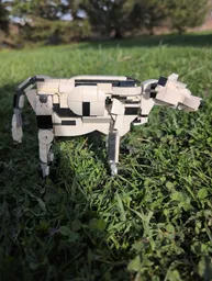 biologically accurate cow (bos taurus)