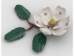 Magnolia Flower