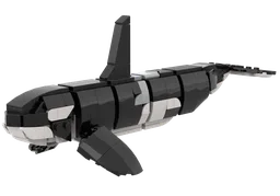 Orca (Orcinus orca) "Killer Whale"