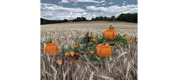 Gatekeeper's Pumpkin Patch