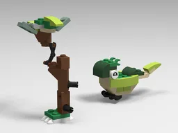 11963_birds