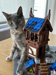 Medieval Guard Post