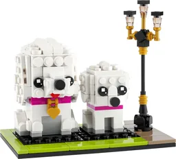 Poodle