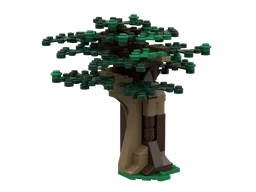 Young Oak Tree
