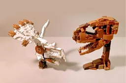 31154 Dinosaur Fossils