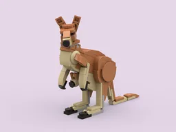 Red Kangaroo