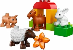 Farm Animals