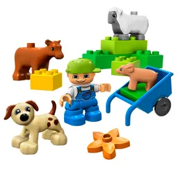 Animals