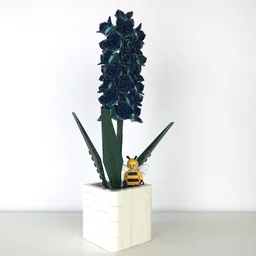 Hyacinth (BT013)