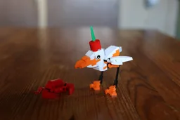 Seagull and Crab