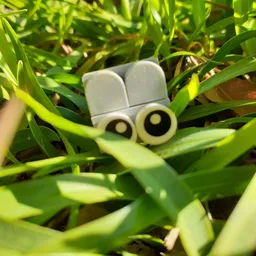 Mouse